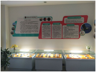 Z6·尊龙凯时「中国区」官方网站