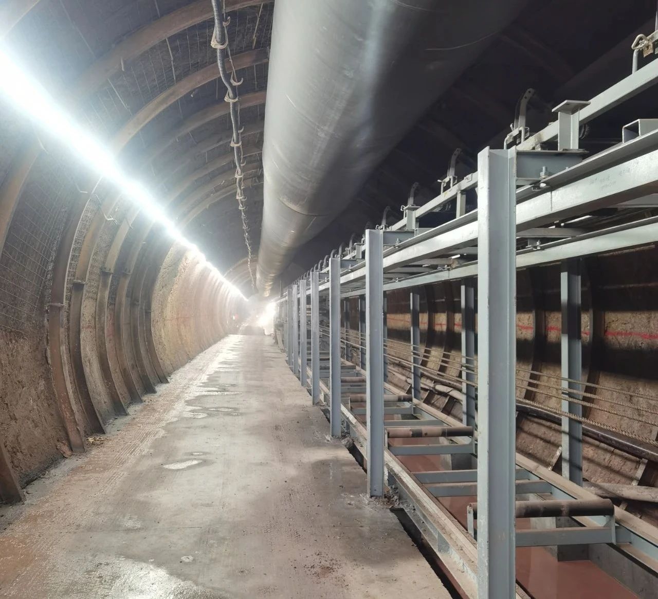 Z6·尊龙凯时「中国区」官方网站